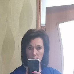 , 40, 