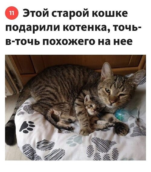   ! - 19  2025  12:59