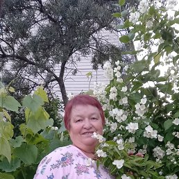 ���� �������, ������, 66 ��� - ��������� 15 ����� 2024