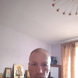 , 41, 
