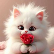 Zarif Yuldashev, 49 ���, ������