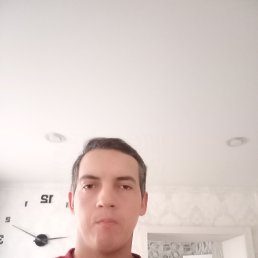 , 29, 