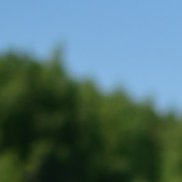 �����, 34 ����, �����
