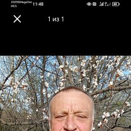 , 60, 