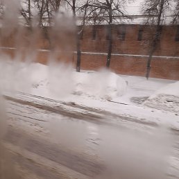 �����, ������, 56 ���