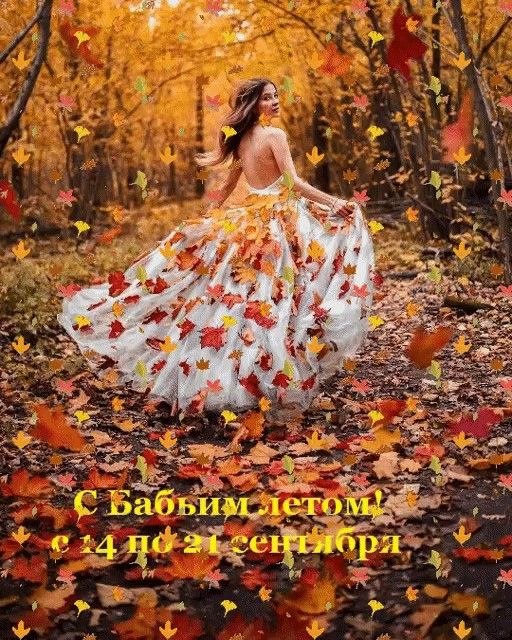   ?  ?   ?  ,  ,    ...