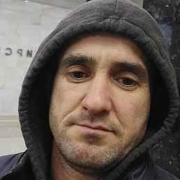 �����, ������, 41 ���