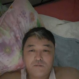 , 46, 