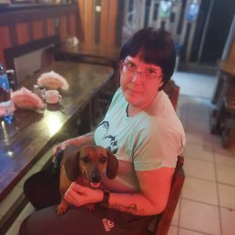 �������, �����-���������, 49 ���