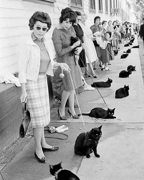  1961           .  150  ... - 7