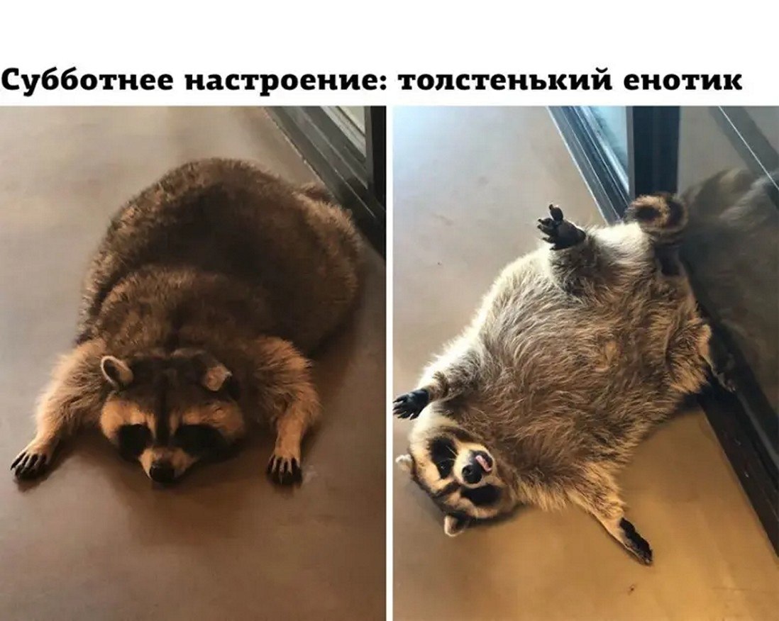 ☆ ☆ - 23  2025  00:26