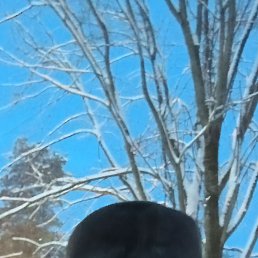 ���������, 57 ���, ��������