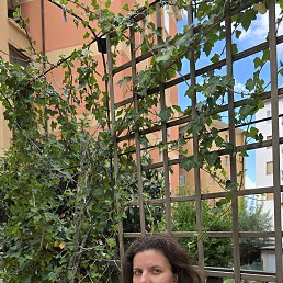 ���� �������, �����-���������, 33 ���� - ��������� 27 ������� 2025