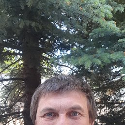 , 41, 