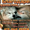 ���� ������, ������, 39 ��� - ��������� 25 ������� 2026 � ������ ���� ����������