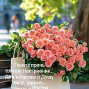 ���� ����, �����-��������� - ��������� 30 ������ 2026 � ������ ������ ��������