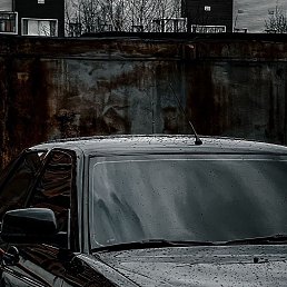 ���� ����, ������������, 38 ��� - ��������� 26 ������� 2023