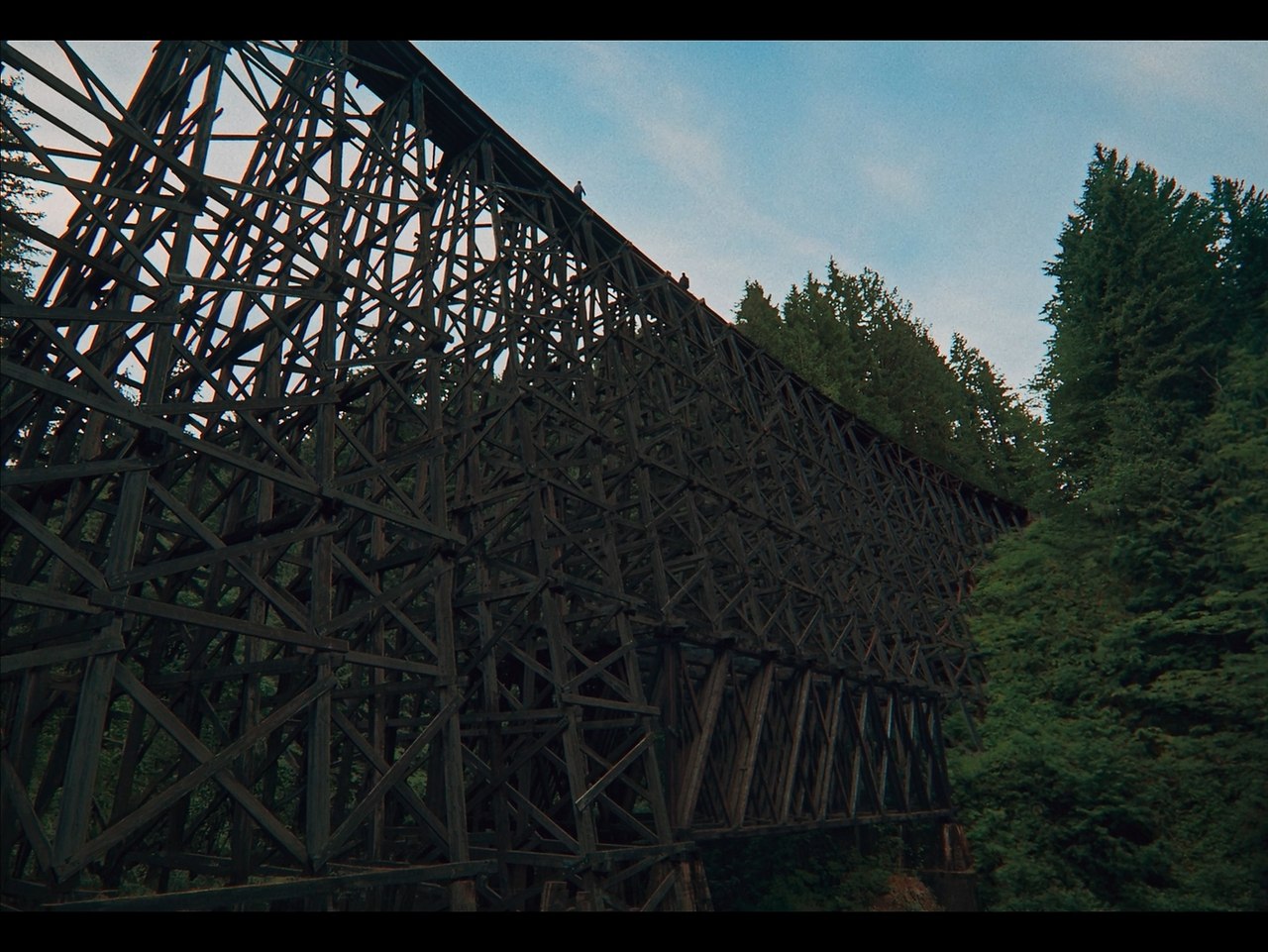 ��� ������� / Train Dreams, 2025.dir. Clint Bentley - 8