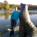 ���� ������, ������� - ��������� 12 ������� 2025