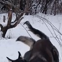 ���� ����, ������-��-����, 58 ��� - ��������� 4 ������ 2026 � ������ ���� ����������