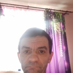 ���������, 42 ����, ���������