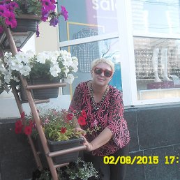 �����, �������, 48 ���