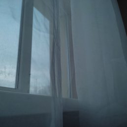 ������, ��������, 23 ����