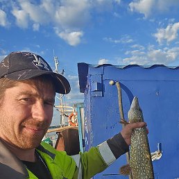 �����, �������, 39 ���