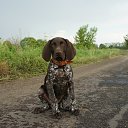 ���� ������, ����� - ��������� 28 ������ 2025 � ������ ������ ��������