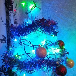 ���� �����, ������, 36 ��� - ��������� 24 ������� 2023