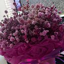 ���� ���������, ���������, 20 ��� - ��������� 17 ����� 2024 � ������ ���� ����������