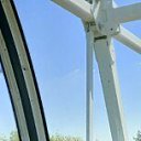 ���� ��������, ����, 38 ��� - ��������� 13 �������� 2024 � ������ ���� ����������
