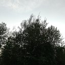   , , 25  -  8  2025    