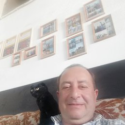 , 51, --