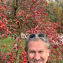 ���� David Morgan, ������, 58 ��� - ��������� 8 ���� 2025 � ������ ���� ����������
