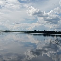 ���� ������, �������� - ��������� 10 ���� 2026