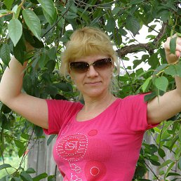 , 53, 