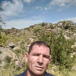, 40, 
