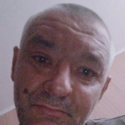 �������, ������, 46 ���