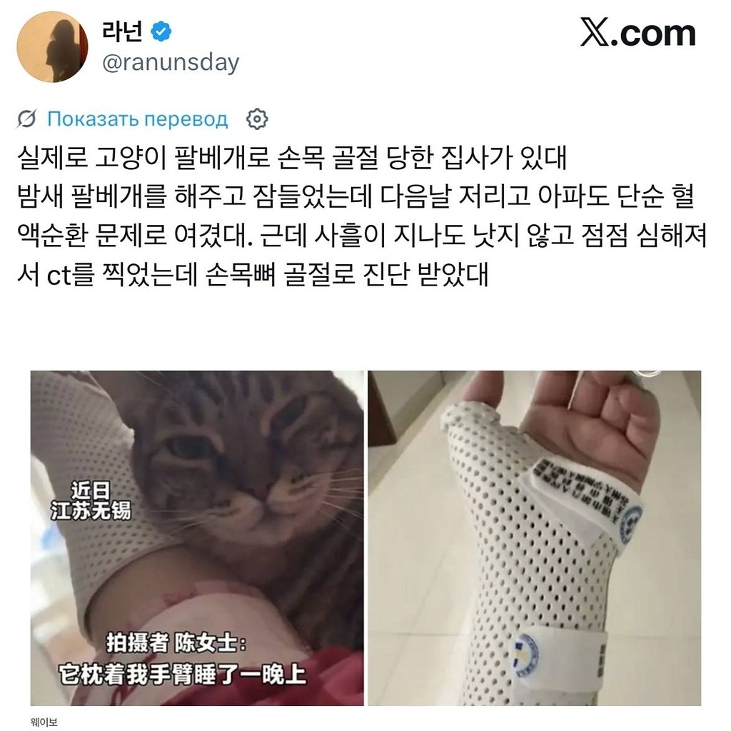���������� ����� ���������� � ��������� � ������ ������� �����. ������� ��������� �����������: � ... - 3