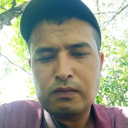  , , 31 