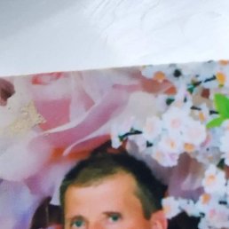 , 38, 