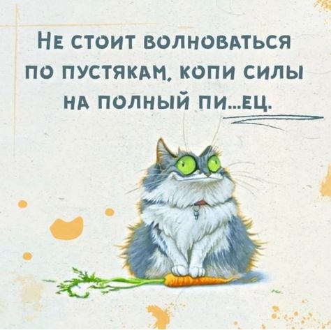  =^..^= - 10  2023  07:02
