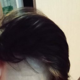 ��������, �������, 40 ���