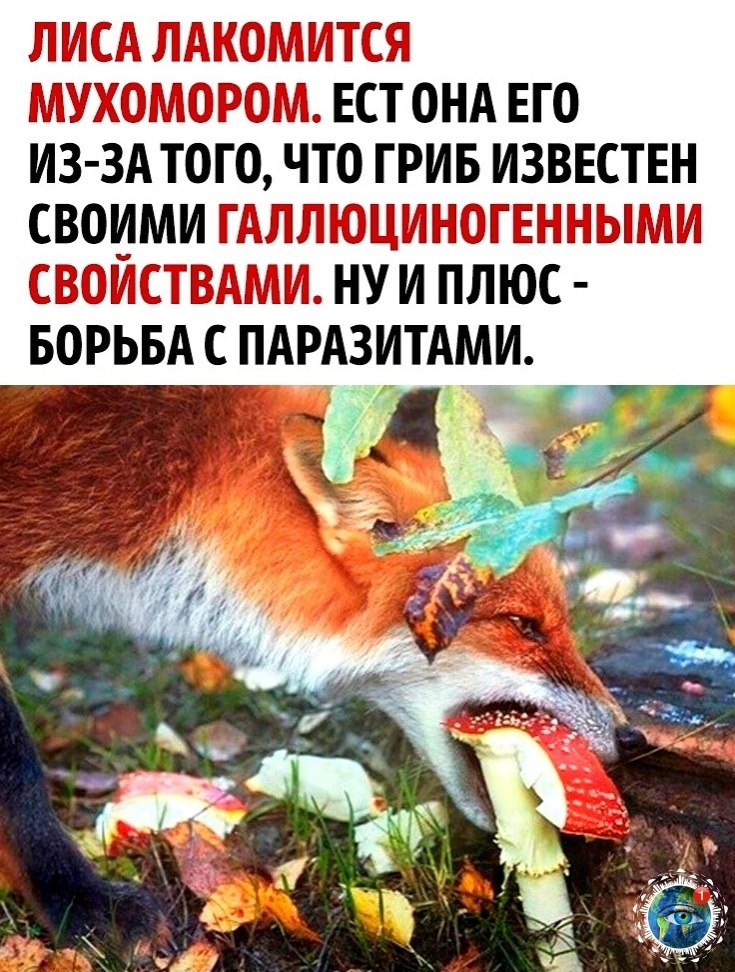e pa ca!