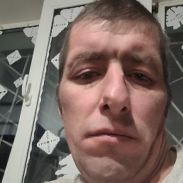 ����, �����, 37 ���