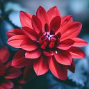 ���� ����, ������ - ��������� 21 ������� 2024 � ������ ���� ����������