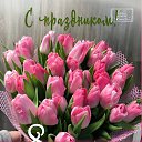 ���� ����, ������, 53 ���� - ��������� 8 ����� 2024 � ������ ������ ��������