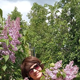 ����, �������, 59 ���