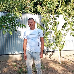 ���� ���������, ���������, 42 ���� - ��������� 16 ������ 2025